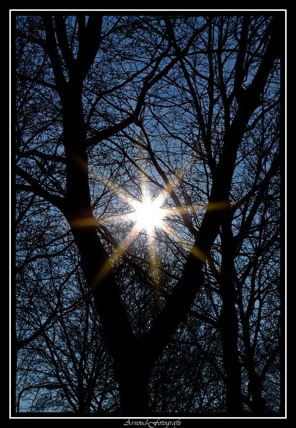 Fotografie