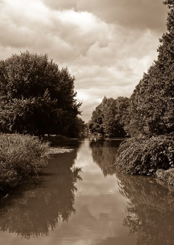 Fotografie