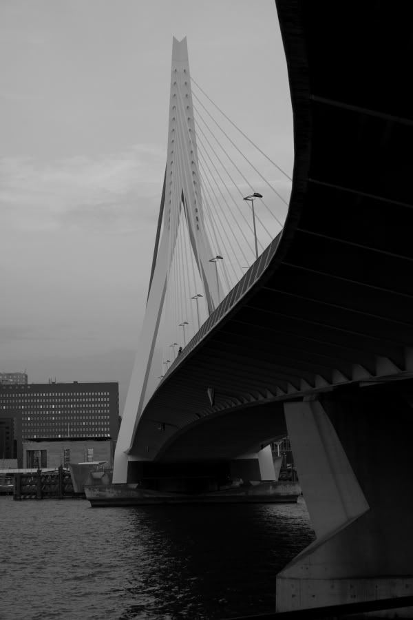 Fotografie