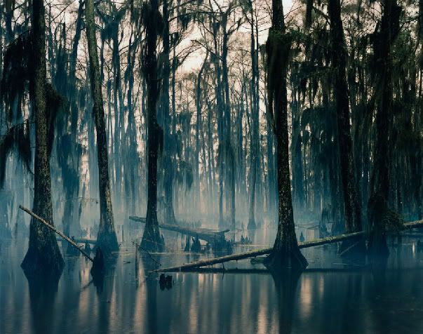 gloomy_swamp.jpg