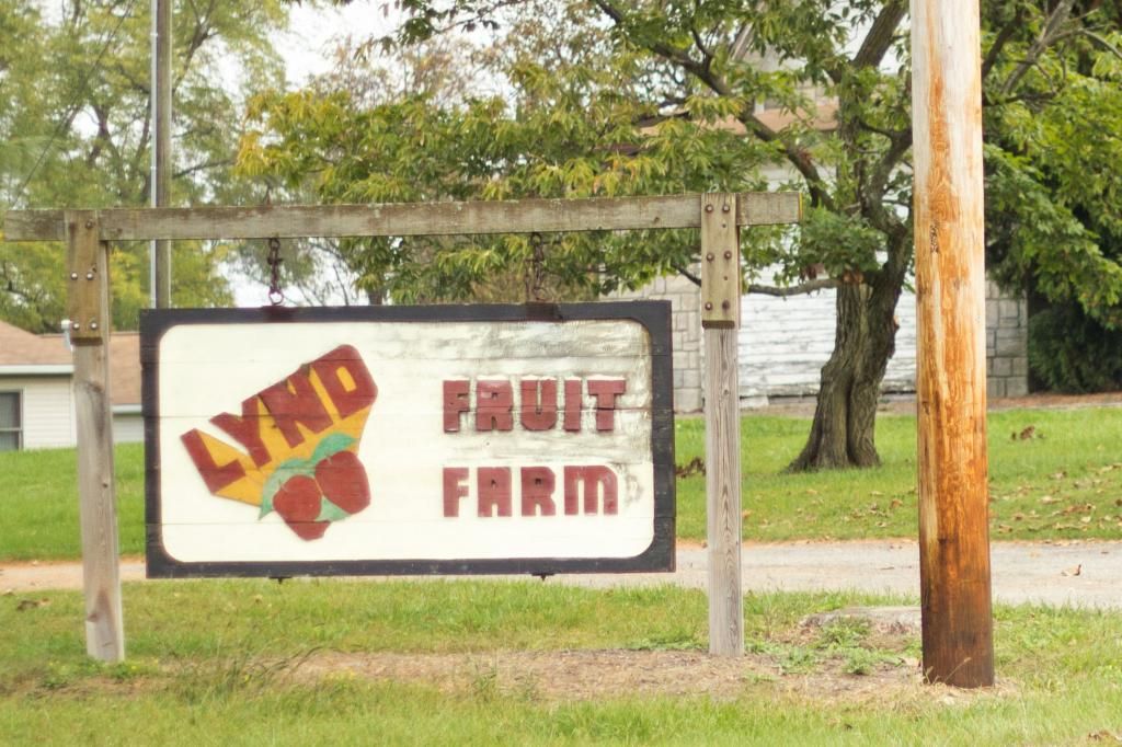 Lynds Farm Pumpkin Patch