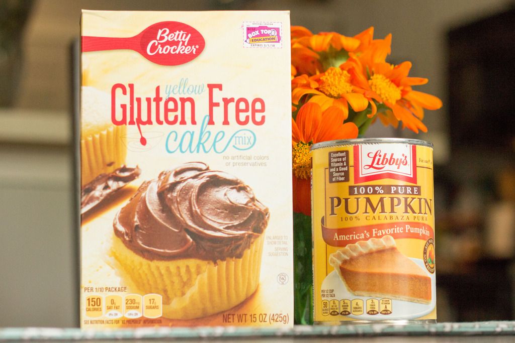 Life, Love &amp; Puppy Paws Gluten Free Pumpkin Donuts with