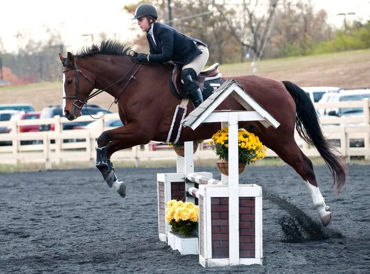 Miami Horse Show October 2334, 2010 Ohio University Equestrian Team