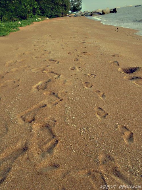 whose steps?