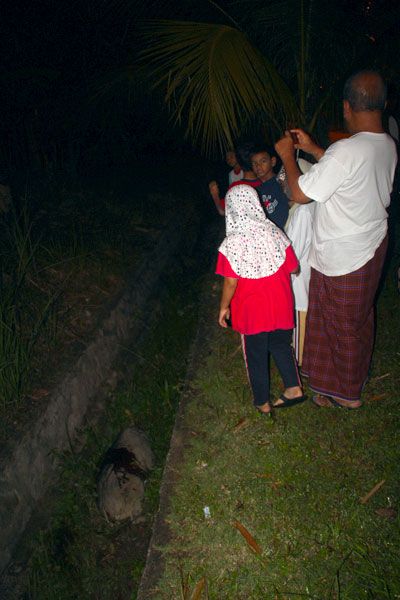 atuk ambil gambar babi hutan