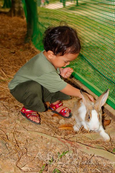 baby aslah main arnab baby aslah main arnab