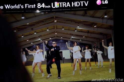 tarian kuda Gangnam Style oleh PSY
