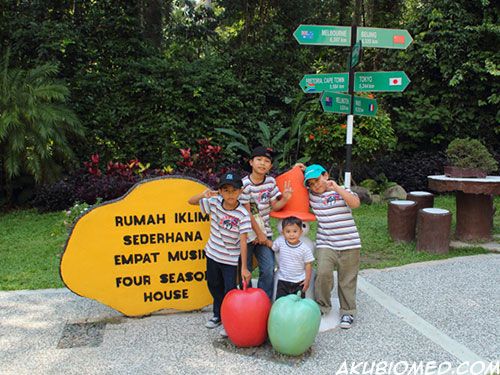 adik beradik koning