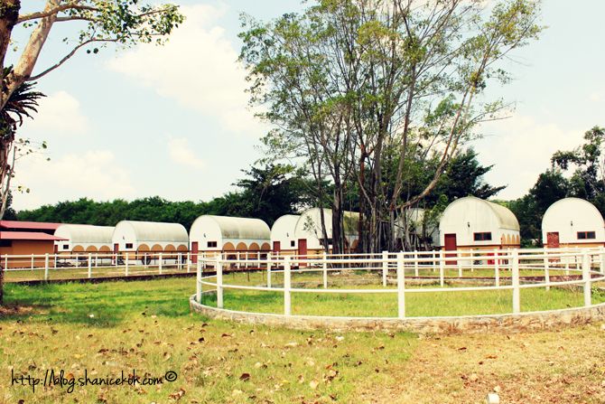 Punggol Stables 2 - interesting places in Singapore