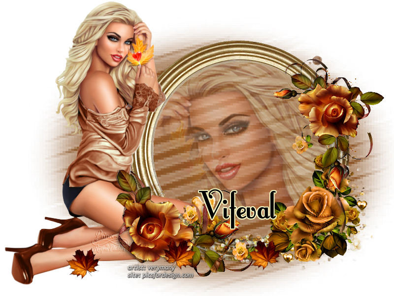  photo vifeval 2.png