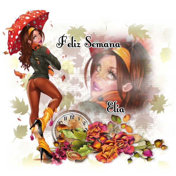  photo elia pack 40.png