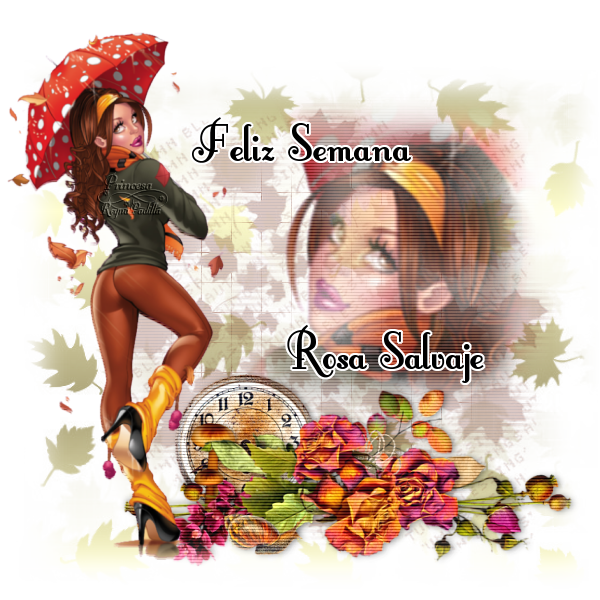  photo rosa salvaje pack 40.png