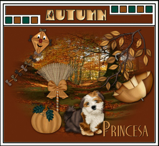 photo autum40F-prince.gif