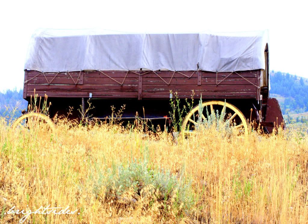 idaho,road trip,August 2009