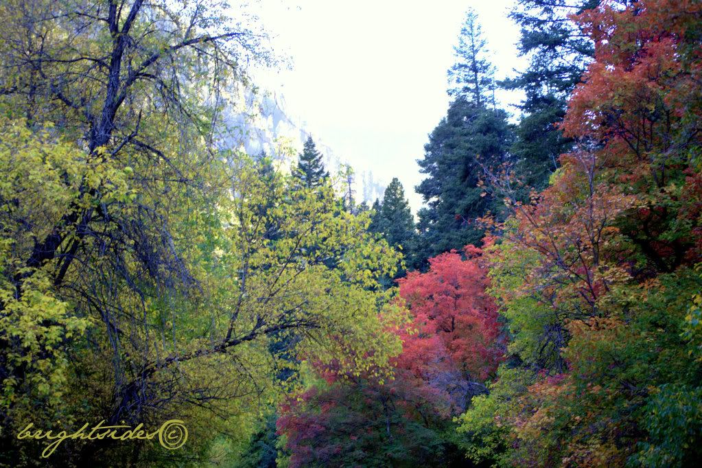 september 2009,falling for you,American Fork Canyon