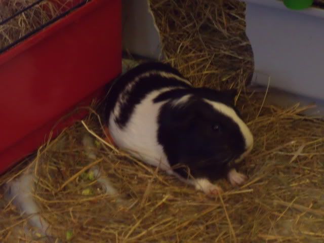DSCF5194.jpg