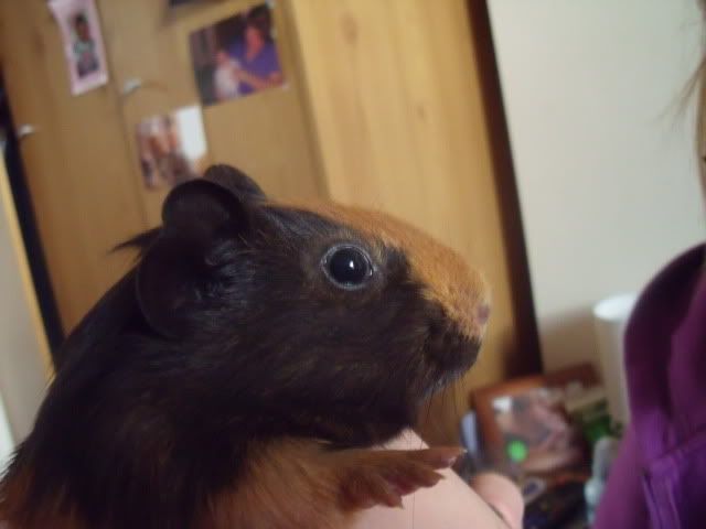 DSCF5210.jpg
