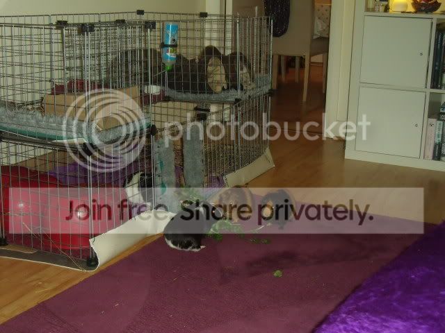 DSCF8013.jpg
