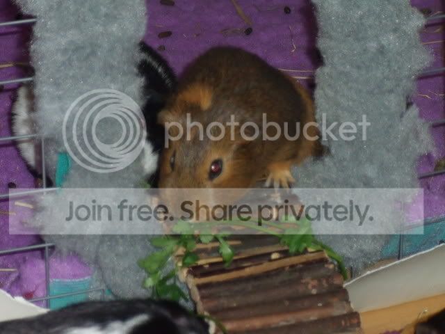 DSCF8019.jpg