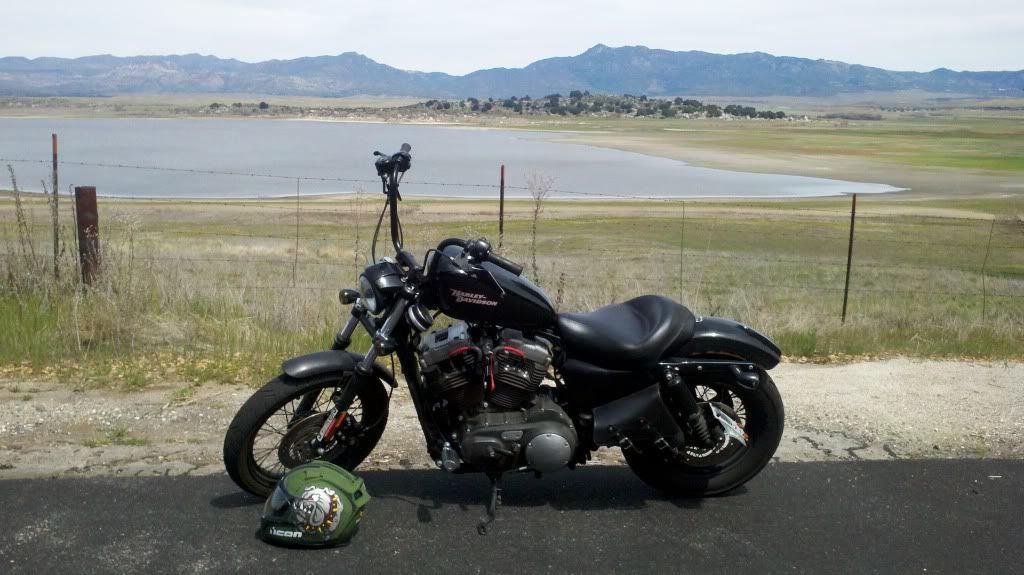 sportster face for facebook sportster face for facebook